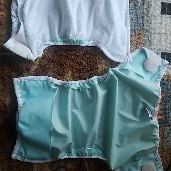 Thirsties cloth diaper lot - Picture 2 of 5